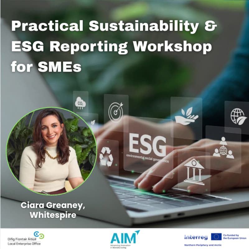 Cover Image for Practical Sustainability & ESG Reporting Workshop for SMEs