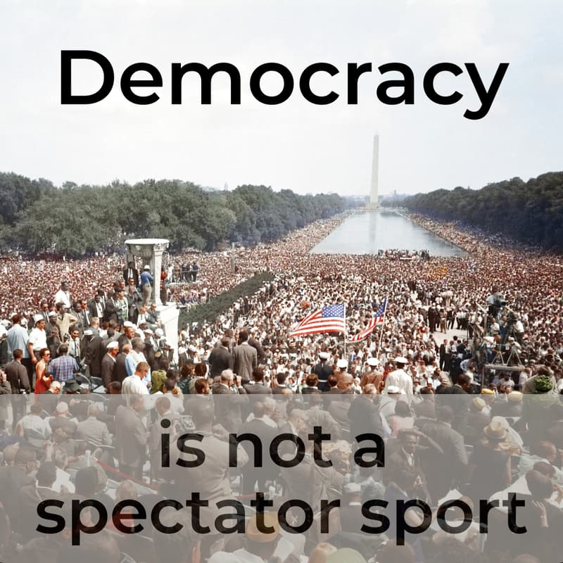 Cover Image for Climate, Democracy, and the Mid-Term Elections, or "How Everything You Care About Flows Through Having a Functioning US Democracy" (on Zoom)