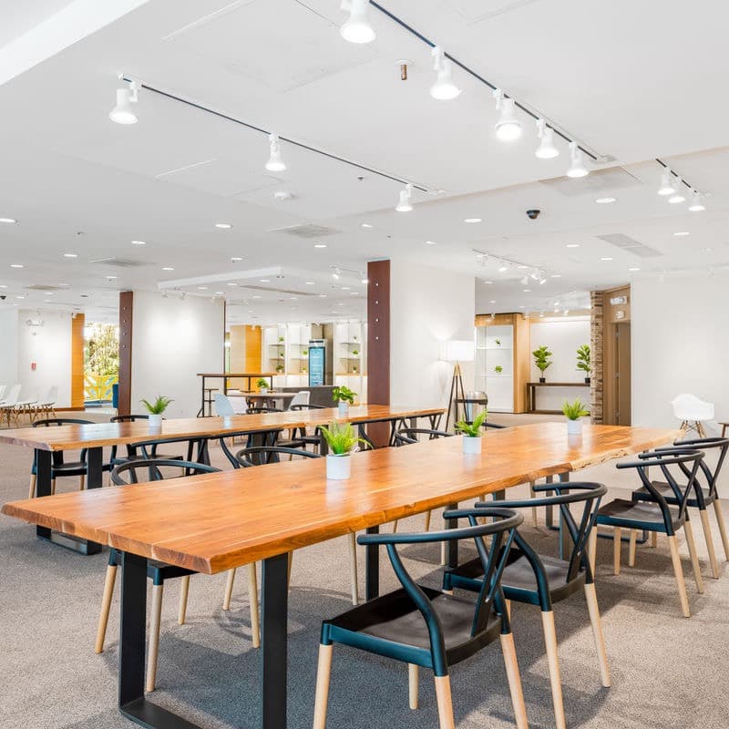 Cover Image for Workplace Wednesdays with Codi