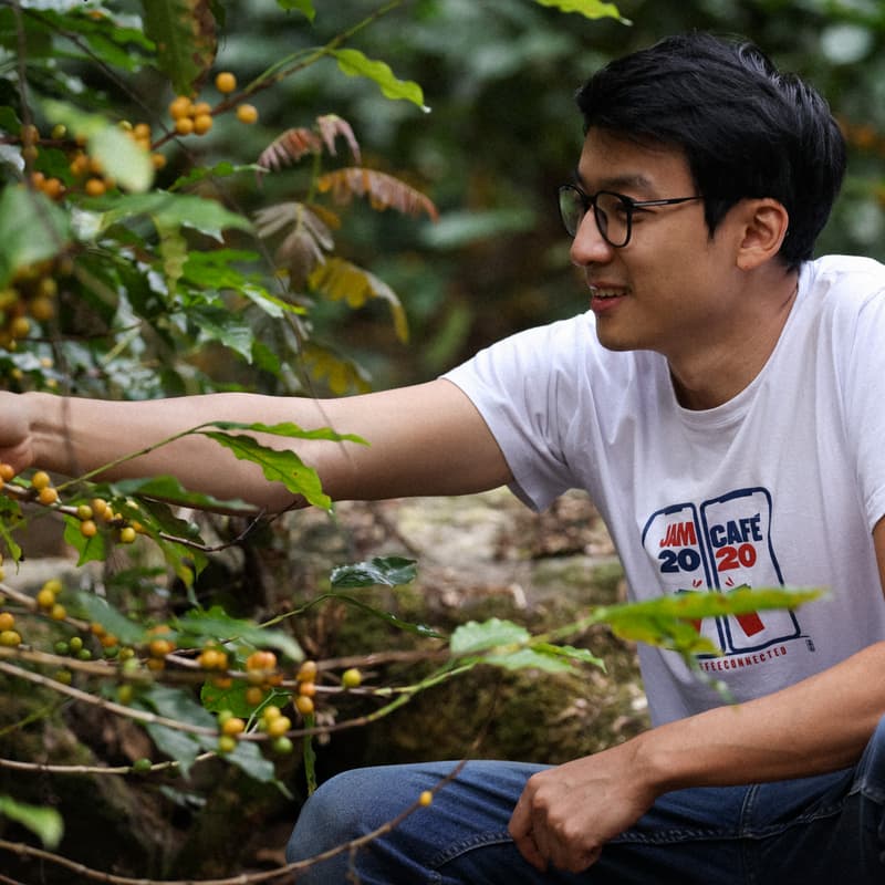 Foto de portada de CATA CAFÉ DE BRASIL