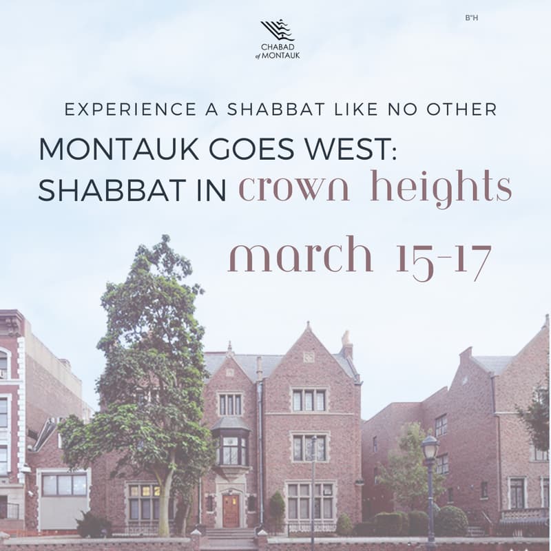 Cover Image for Shabbat in Crown Heights