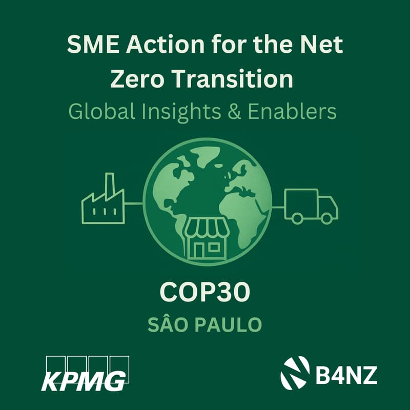 Cover Image for SME Action for the Net Zero Transition: Global Insights & Enablers
