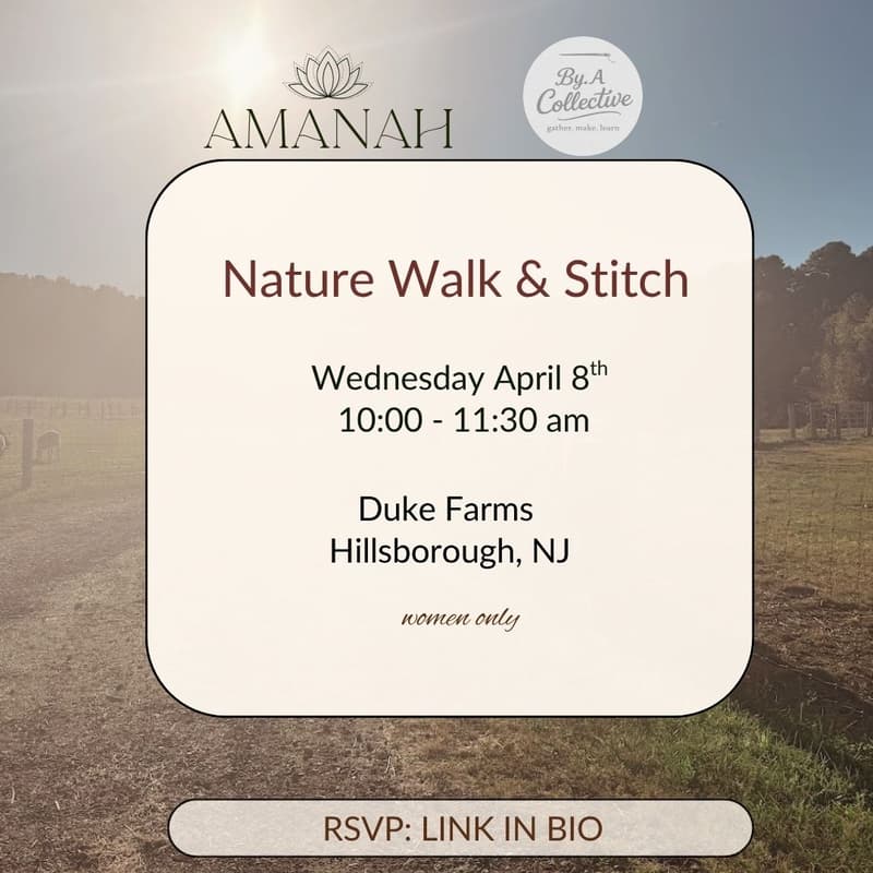 Cover Image for Nature Walk & Stitch