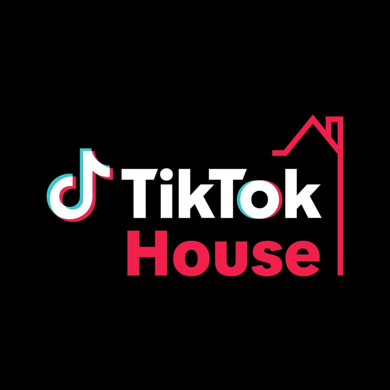 Cover Image for For You, by You: Politics on TikTok