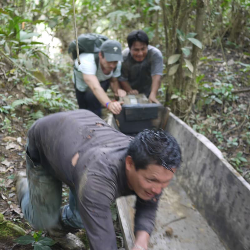Cover Image for Amazonian ethnofuturities