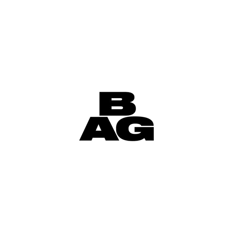 Cover Image for [BAG] Information Session & Panel for Prospective Members