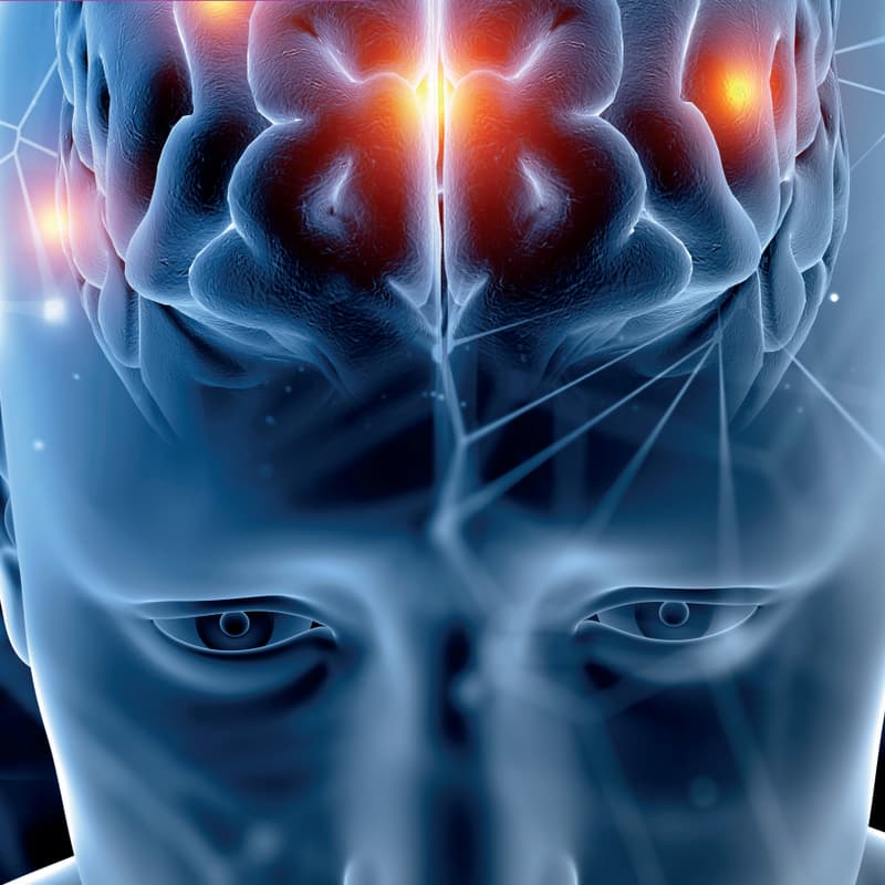 Cover Image for KICK OFF MEETING: RÉSEAU NeuroDM