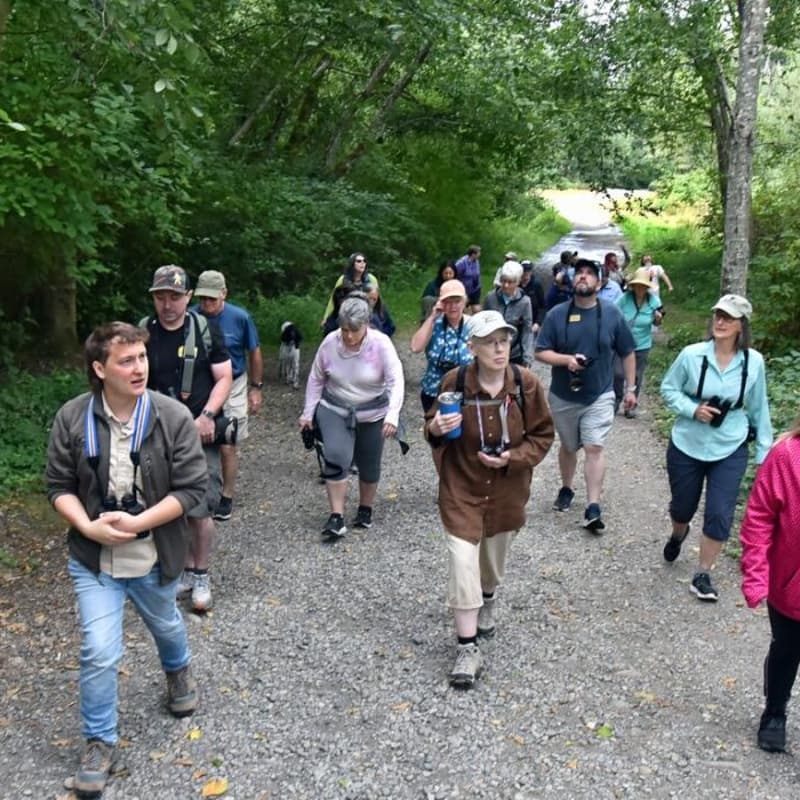 Cover Image for Titlow Bird Walk