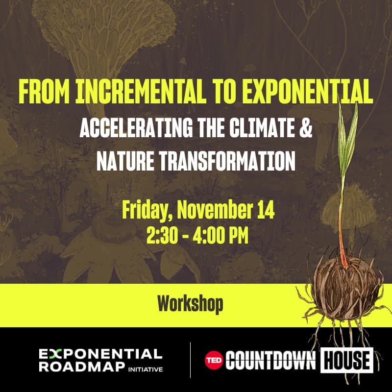 Cover Image for From incremental to exponential: Accelerating the climate & nature transformation