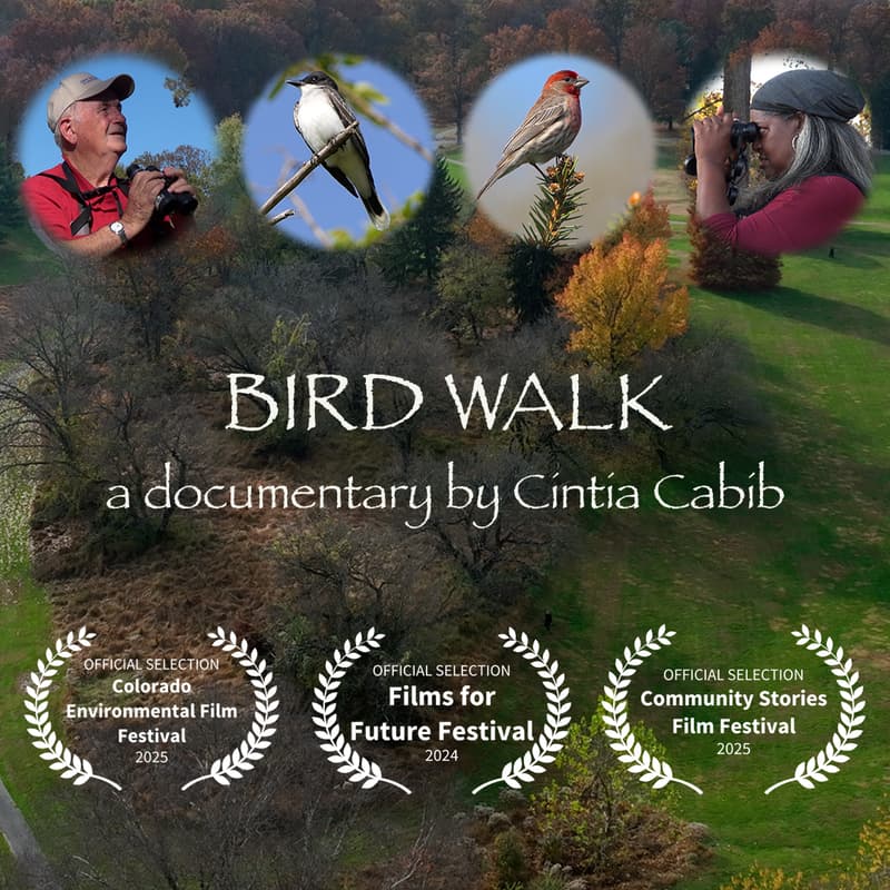 Cover Image for "Bird Walk" Film Screening
