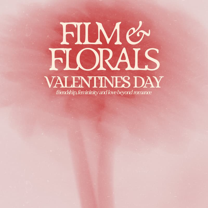 Cover Image for film & florals: Valentine's Day💌