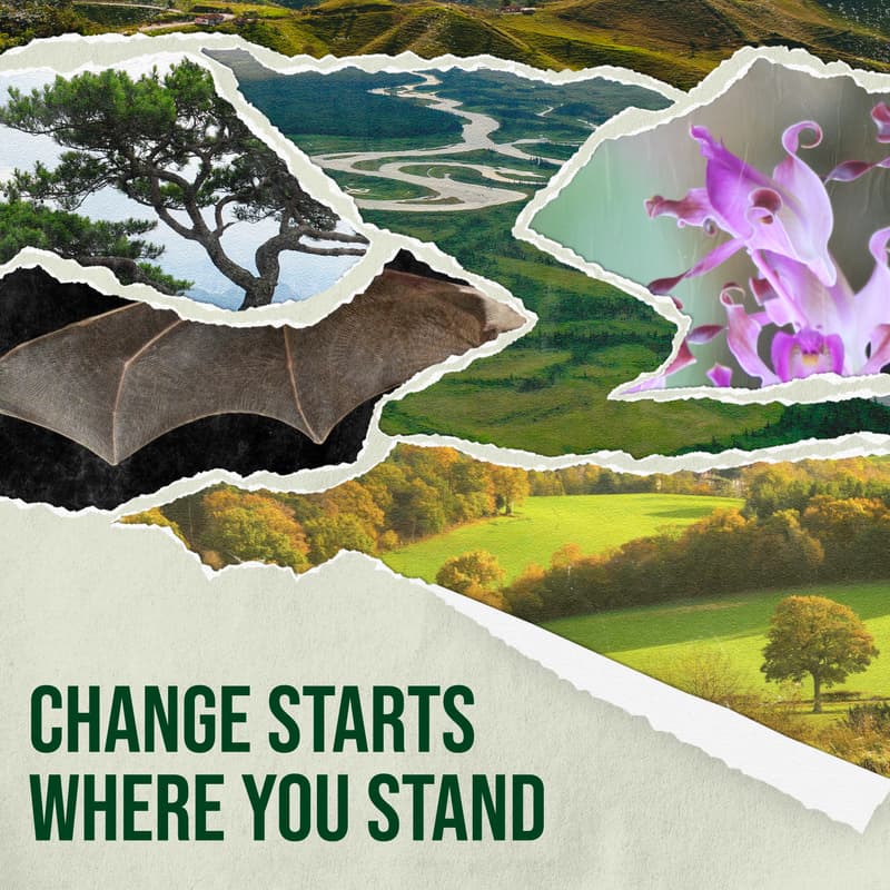 Cover Image for 2026 Goldman Environmental Prize Ceremony & Reception