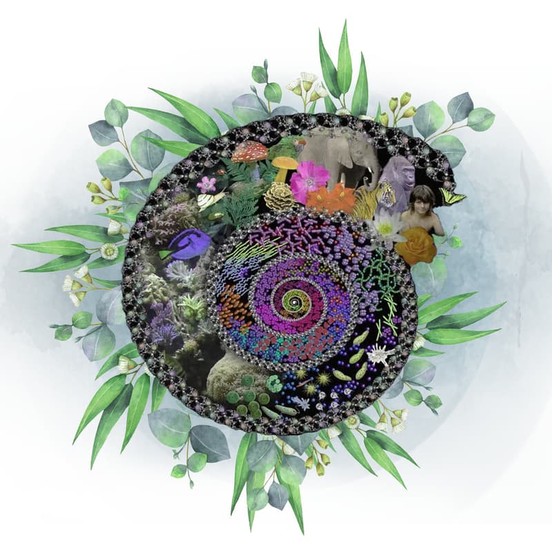 Cover Image for 9 måneders forløb i regenerativ ledelse - Informationssession på onsdag d. 25. marts kl. 10-11