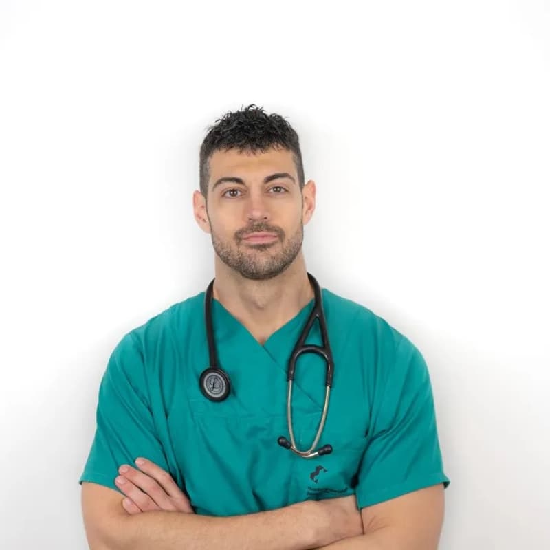 Foto de portada de "El corazón, nuestro motor vital". Dr. José Abellán