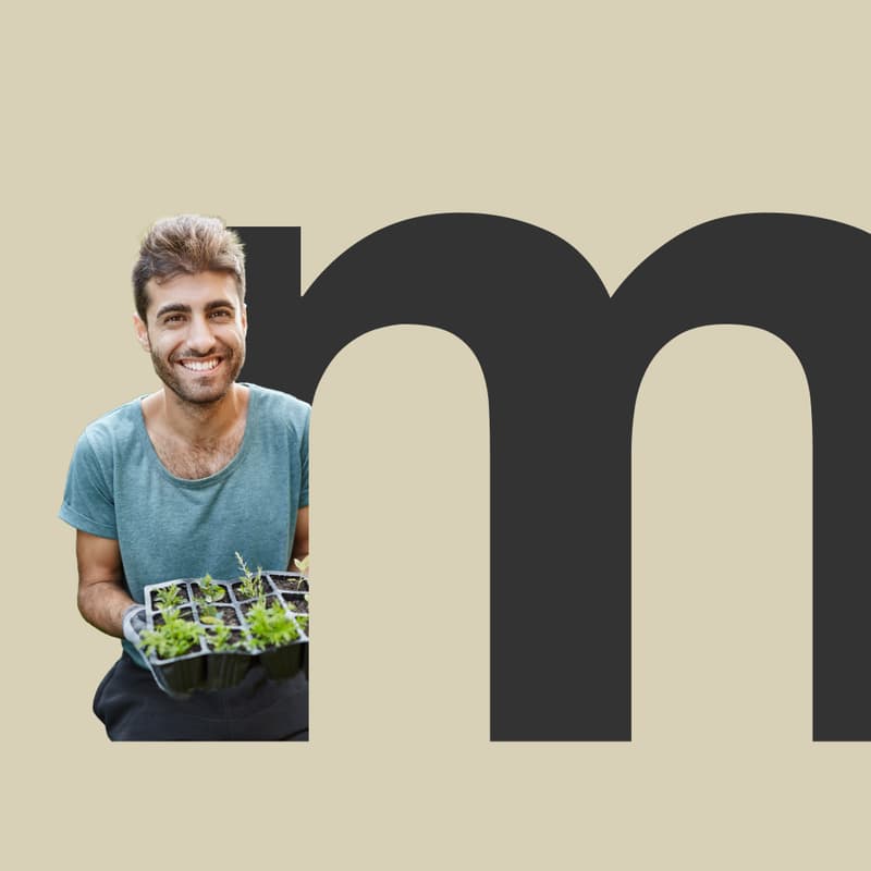 Cover Image for Pollice verde indoor: Consigli pratici per portare la natura in casa con orti verticali e piante - Evento gratuito