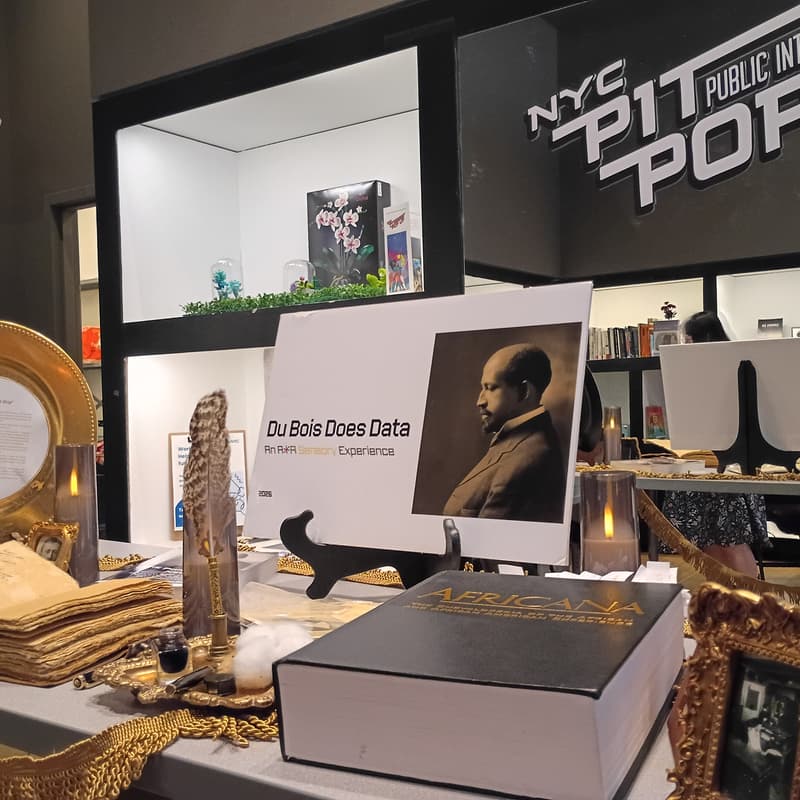 Cover Image for A Du Bois Does Data Juneteenth