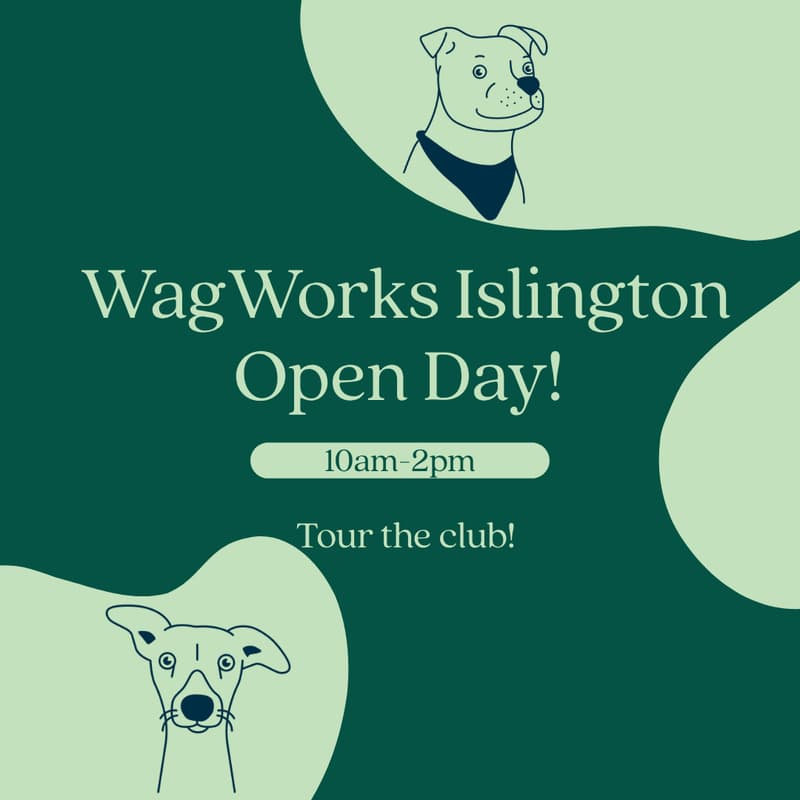 Cover Image for WagWorks Islington Open Day