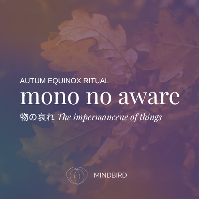 Cover Image for Autumn Equinox Ritual (60 min. Online Session)