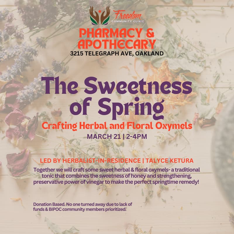 Cover Image for The Sweetness of Spring: Crafting Herbal and Floral Oxymels Workshop