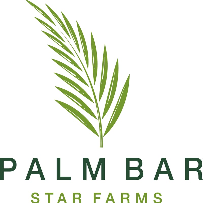 Cover Image for Palm Bar Builder Spotlight