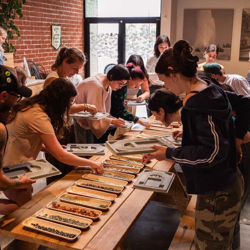 Cover Image for Craft + Yap : An intentional crafting night with tea, hosted by Green Girl Crafts