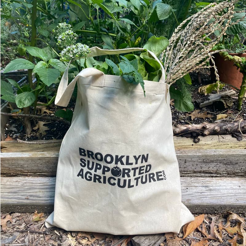 Cover Image for BSA @ BEM Pop-Up Market