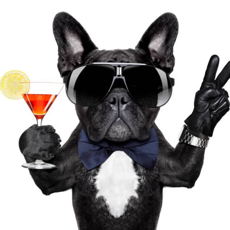Cover Image for Cocktail Party + Ice Breakers III