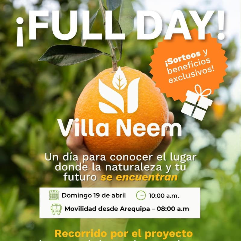 Cover Image for Full day Villa Neem