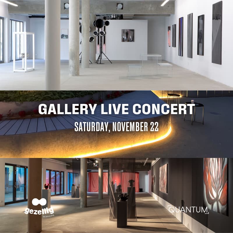 Cover Image for Live Music Concert + Art Gallery Night