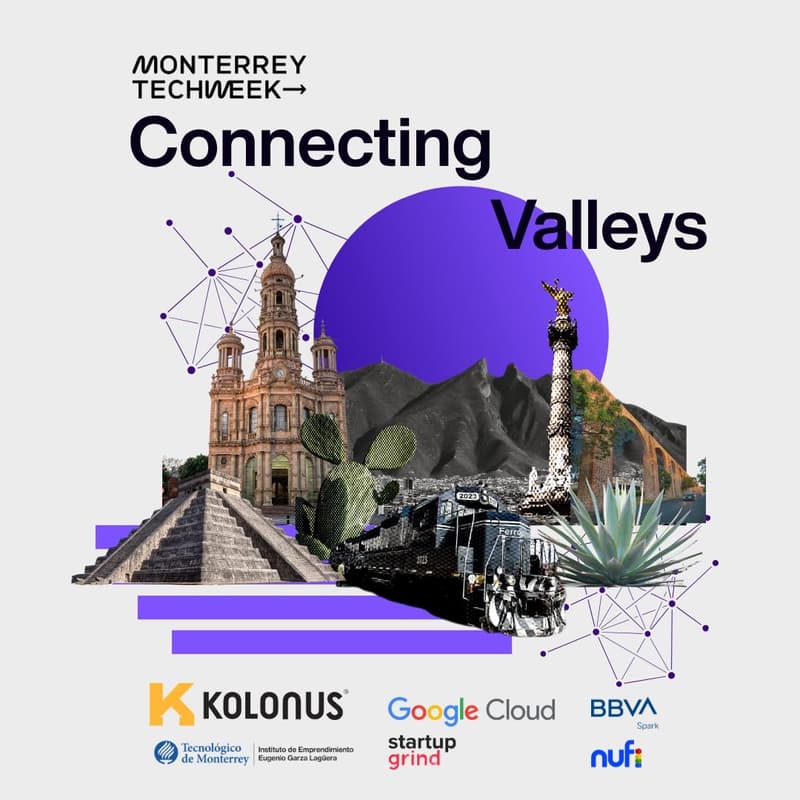 Cover Image for Connecting Valleys