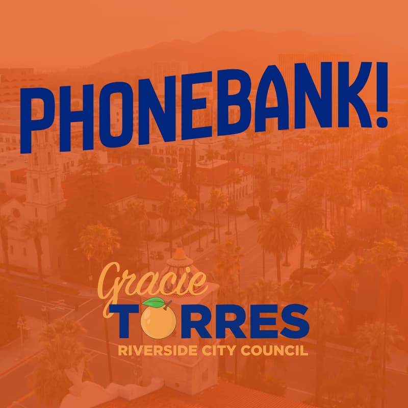 Cover Image for Call Voters - Remote