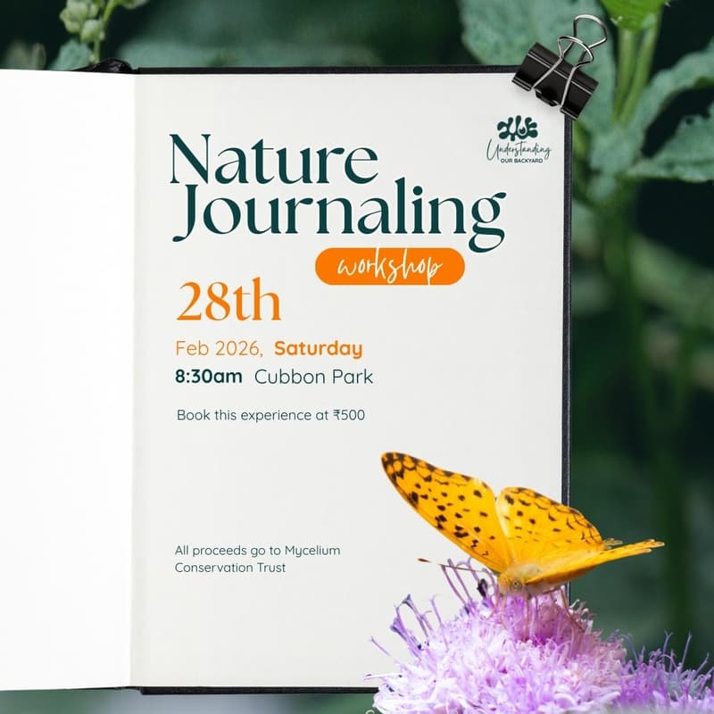 Cover Image for Nature Journaling Workshop