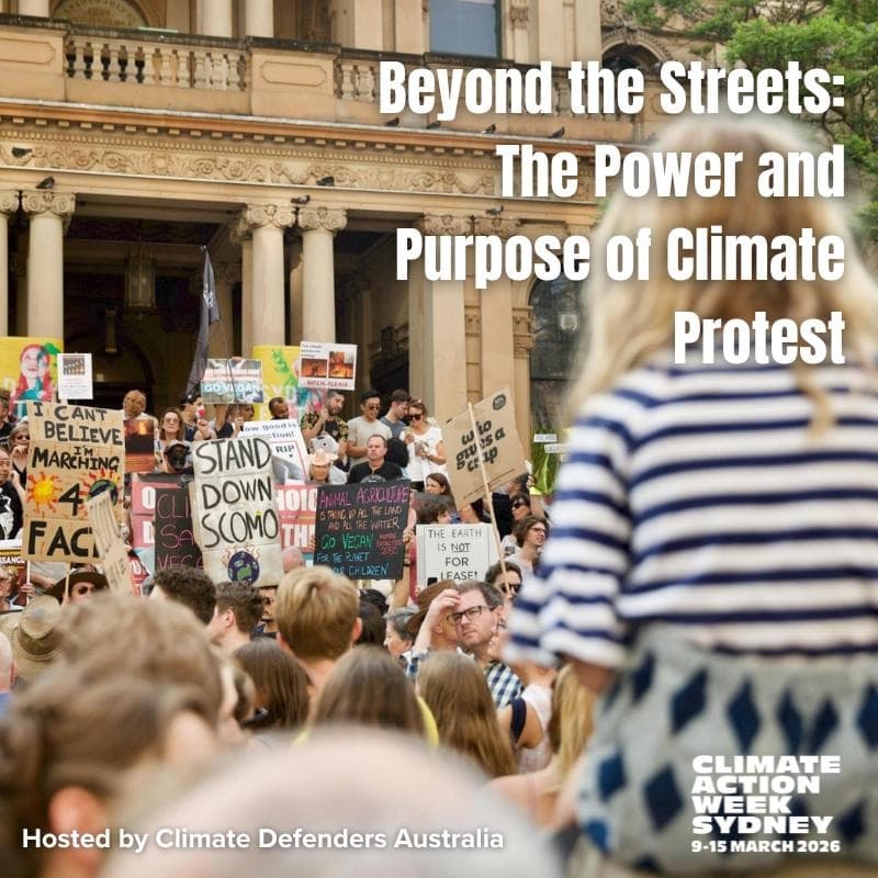 Cover Image for Beyond the Streets: The Power and Purpose of Climate Protest