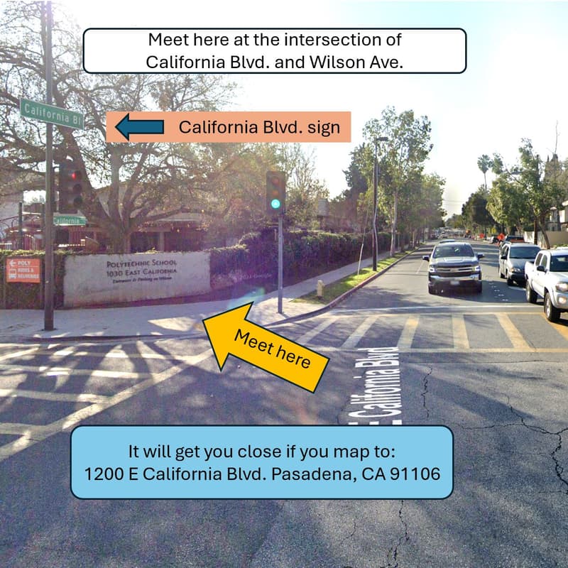 Cover Image for Peaceful sidewalk protest in front of Polytechnic School