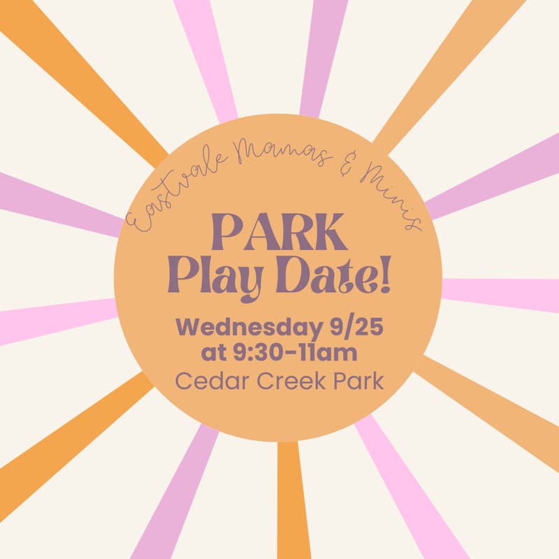 Cover Image for Park Play date