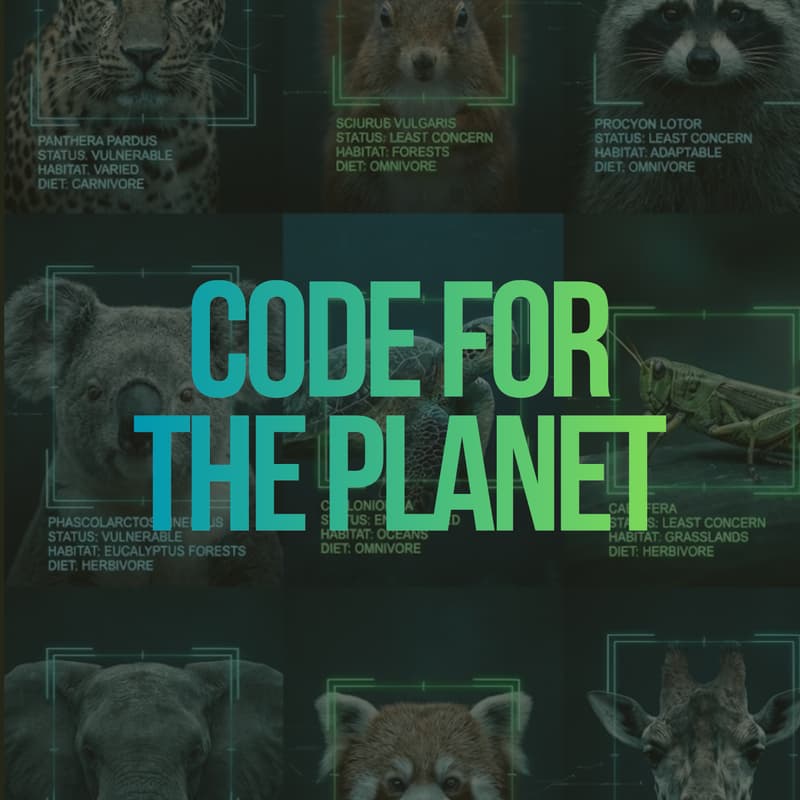 Cover Image for CAIS x The Perfect World Foundation Hackathon