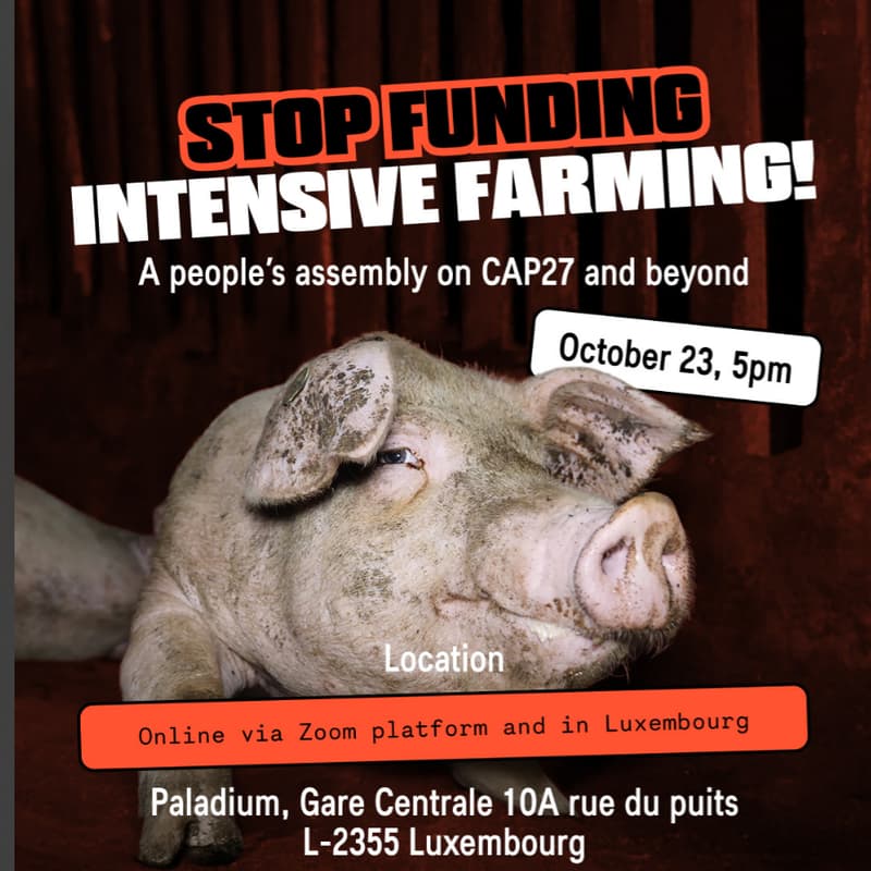 Cover Image for Peoples Assembly to stop Intensive Farming