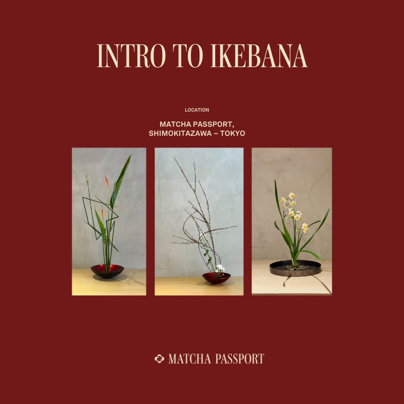 Cover Image for Intro to Ikebana