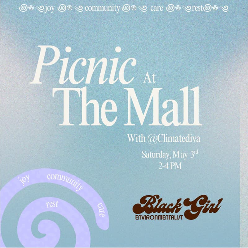 Cover Image for Picnic at The Mall