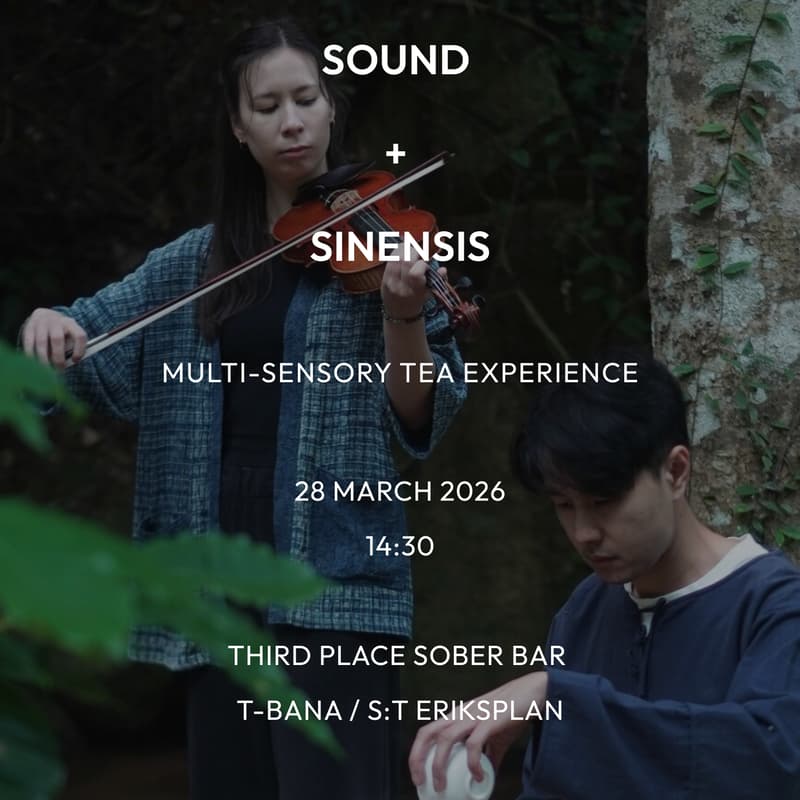 Cover Image for SOUND + SINENSIS : Ambient Strings and Tea Experience