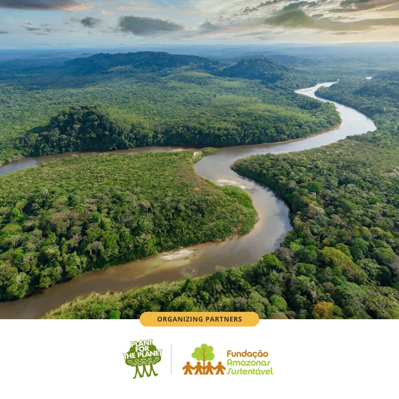 Cover Image for 🌿 Amazon in Focus: Climate Action Plans and Finance for Justice in the Forest