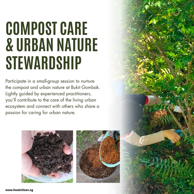 Cover Image for Compost Care & Urban Nature Stewardship