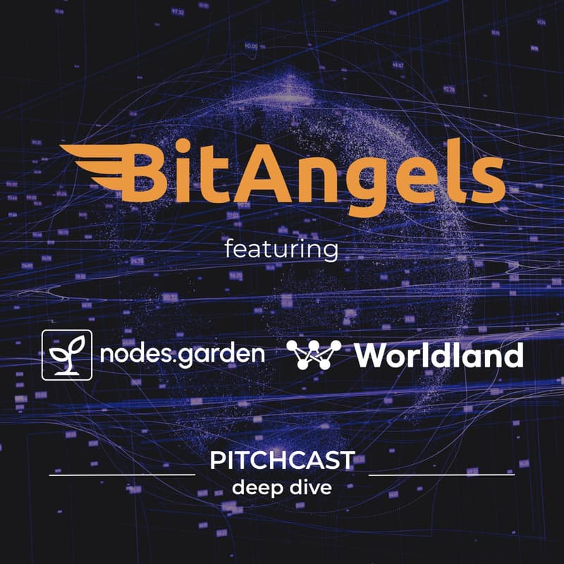 Cover Image for BitAngels Pitchcast Deep Dive #10