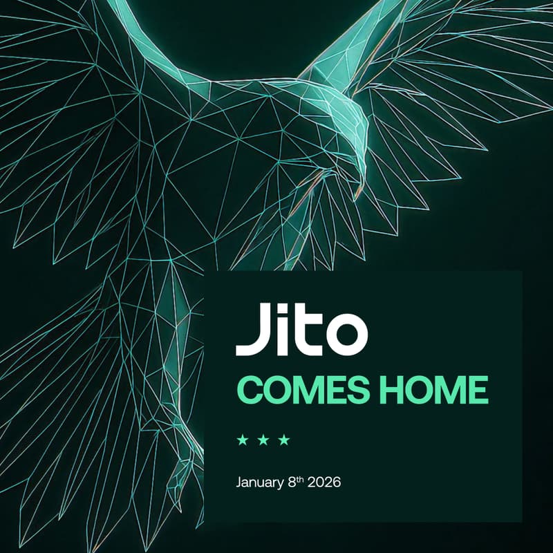 Cover Image for Jito Comes Home