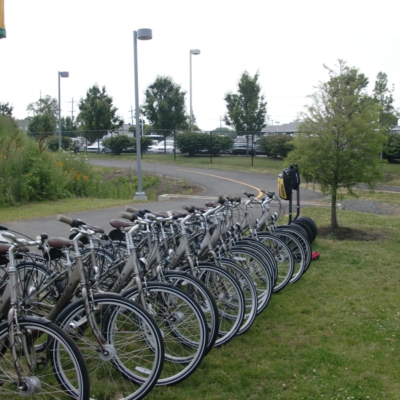 Cover Image for In-Person Viewing - May 2026 APBP Webinar - Designing Island Platform Bus Stops to Accommodate People with Disabilities