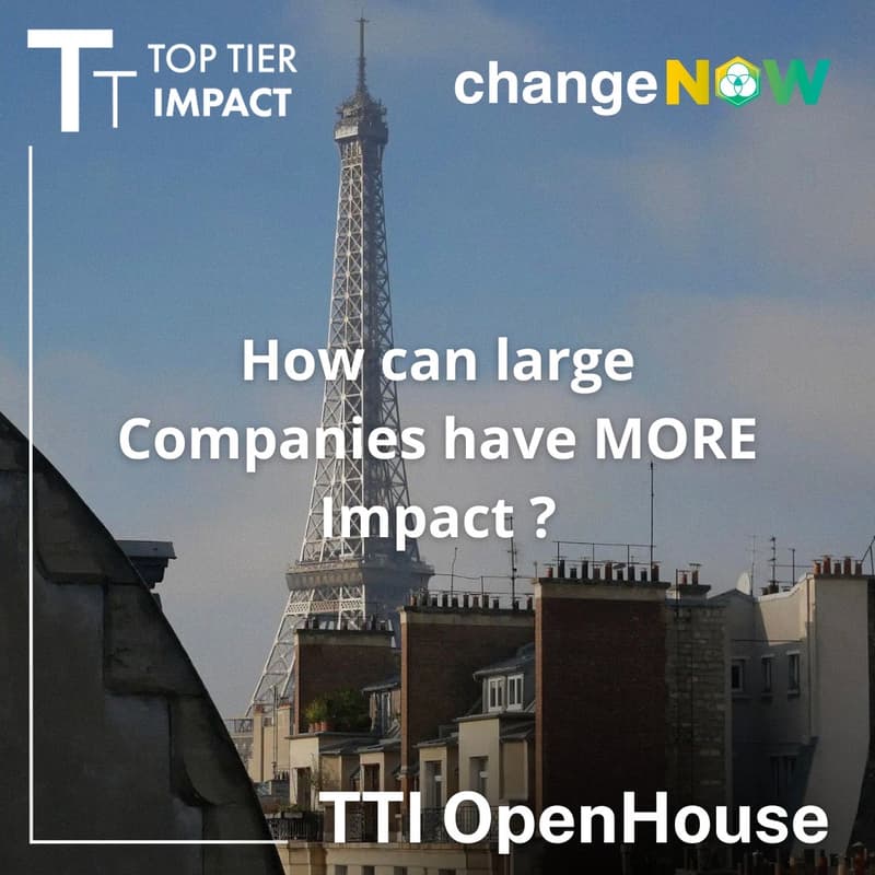Cover Image for Panels and Networking Breakfast - SCALING Impact: How can large Companies have MORE Impact