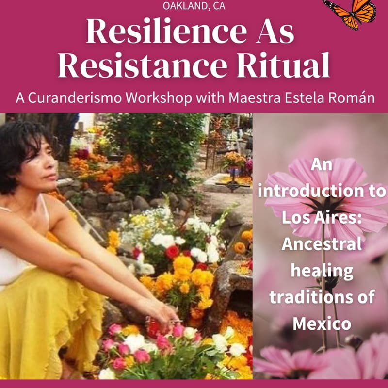 Cover Image for Resilience As Resistance Ritual