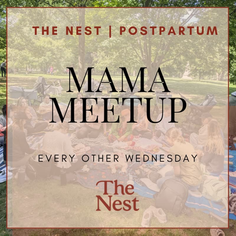 Cover Image for Mama Meetup | The Nest