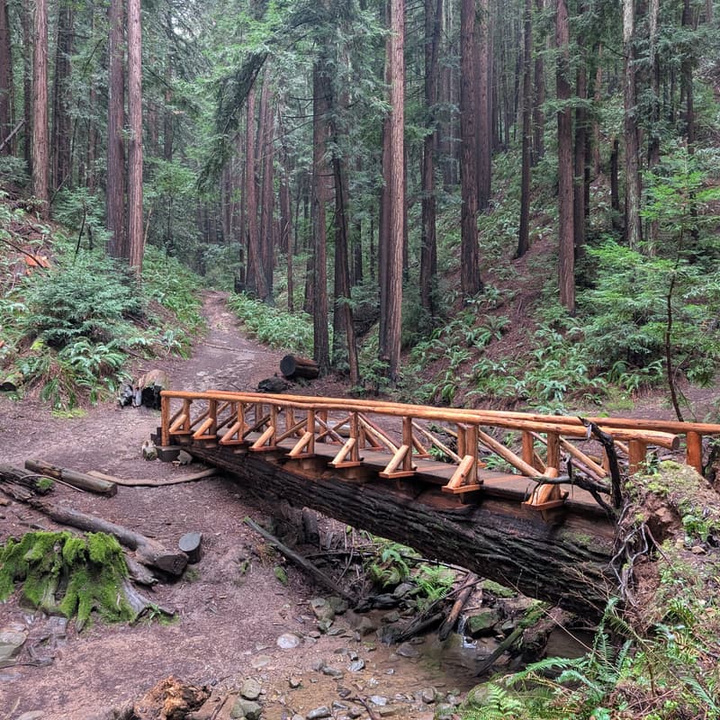Cover Image for Redwood Regional Park - AC Transit launch celebration