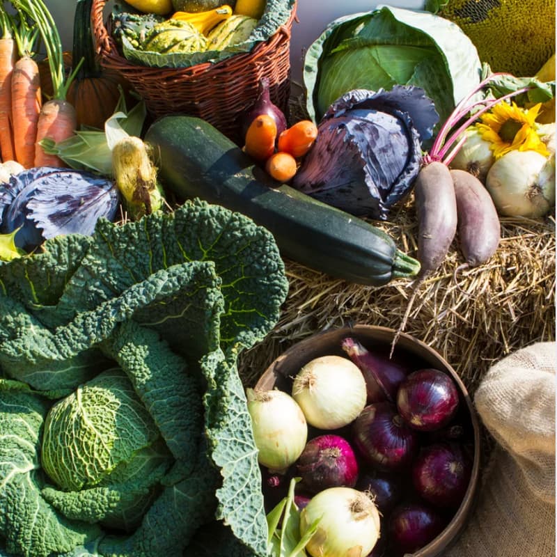 Cover Image for When Food Becomes Medicine: A Free Lecture in Food Energetics & Longevity